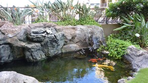 Un estanque con rocas y plantas, rodeado por una valla.