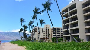 Un hotel frente a la playa con varios pisos, palmeras y vista al océano.