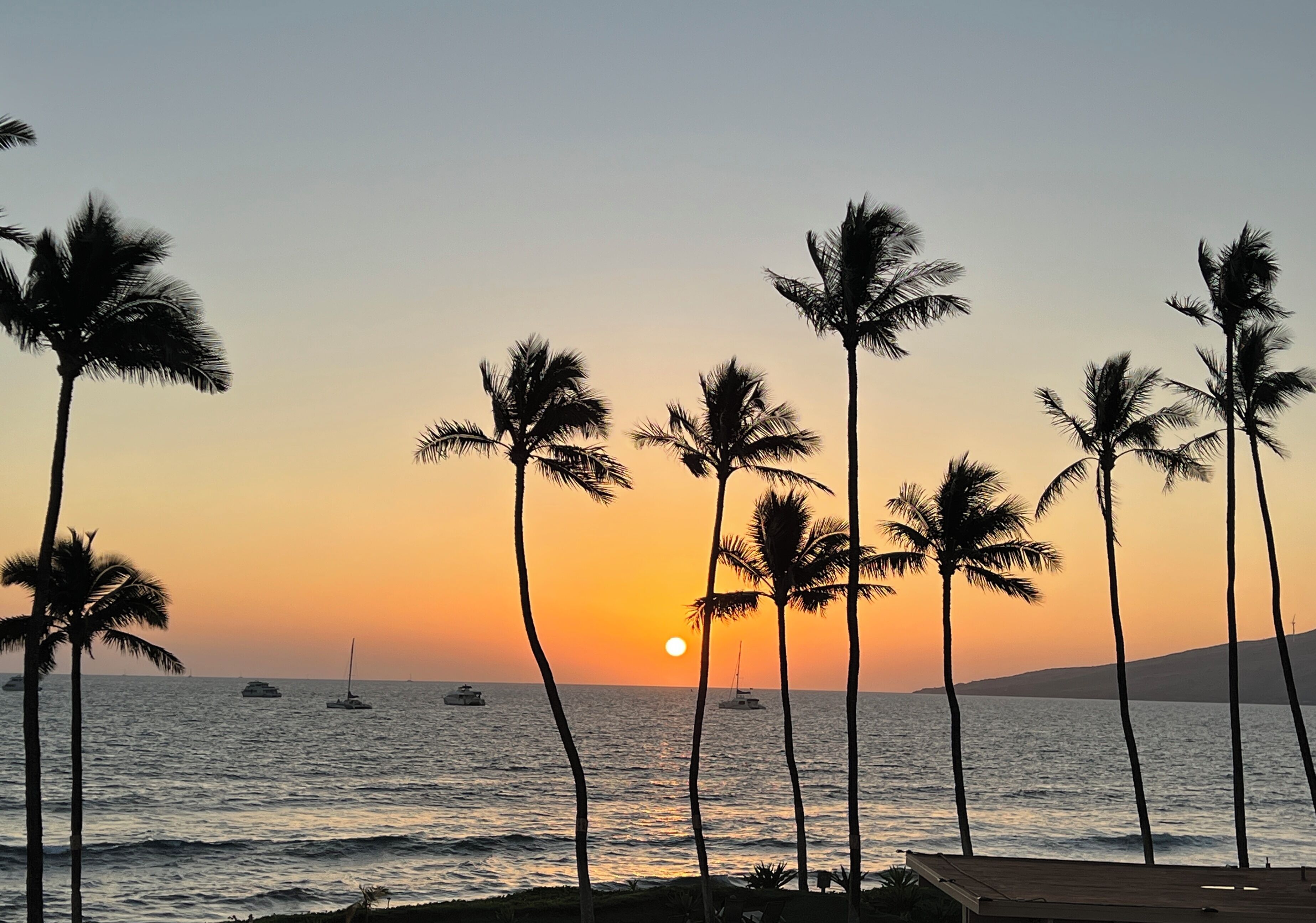 Vista de la puesta de sol con palmeras y barcos en el agua.