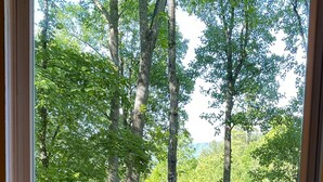A window with a view of a forested area.