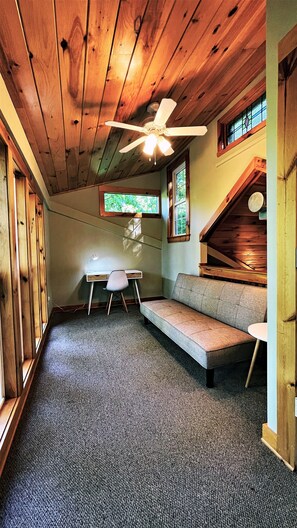 Smart TV, chimenea y libros 