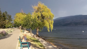 Sun loungers, beach towels