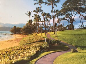 Ranta lähistöllä, aurinkotuoleja, rantapyyhkeitä