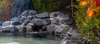 Grandvrio Hotel Nara -Wakura- -Route Inn Hotels-