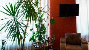 A living room with a large potted plant, a sofa, and a mounted TV. - Hotel Monopoli Kutaisi (Kutaisi)