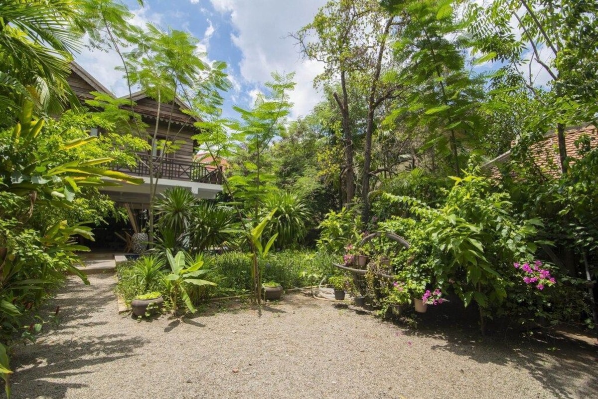 A garden with a variety of plants and trees, a pathway, and a building with a balcony.