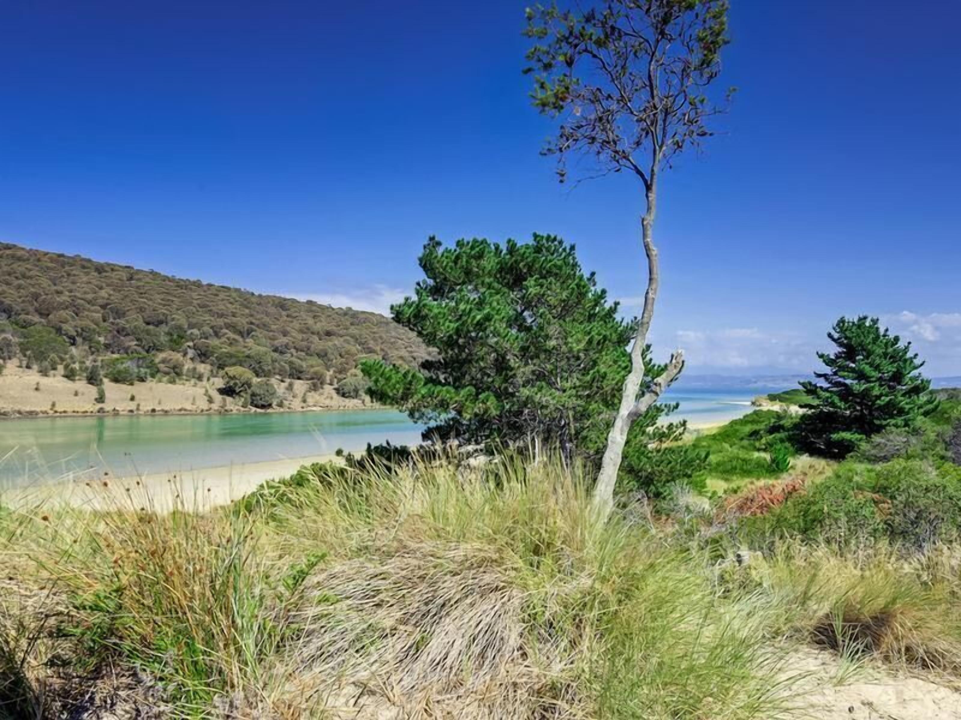 Steeles Island Retreat — image 22