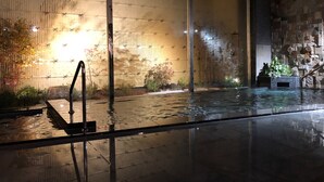 A wet indoor pool area with a bamboo wall and stone accents. - Hotel Route Inn Grand Muroran (Muroran)