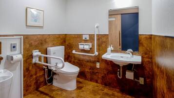 A bathroom with a toilet, sink, and handrails.