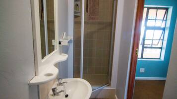 A bathroom with a sink, mirror, and shower.