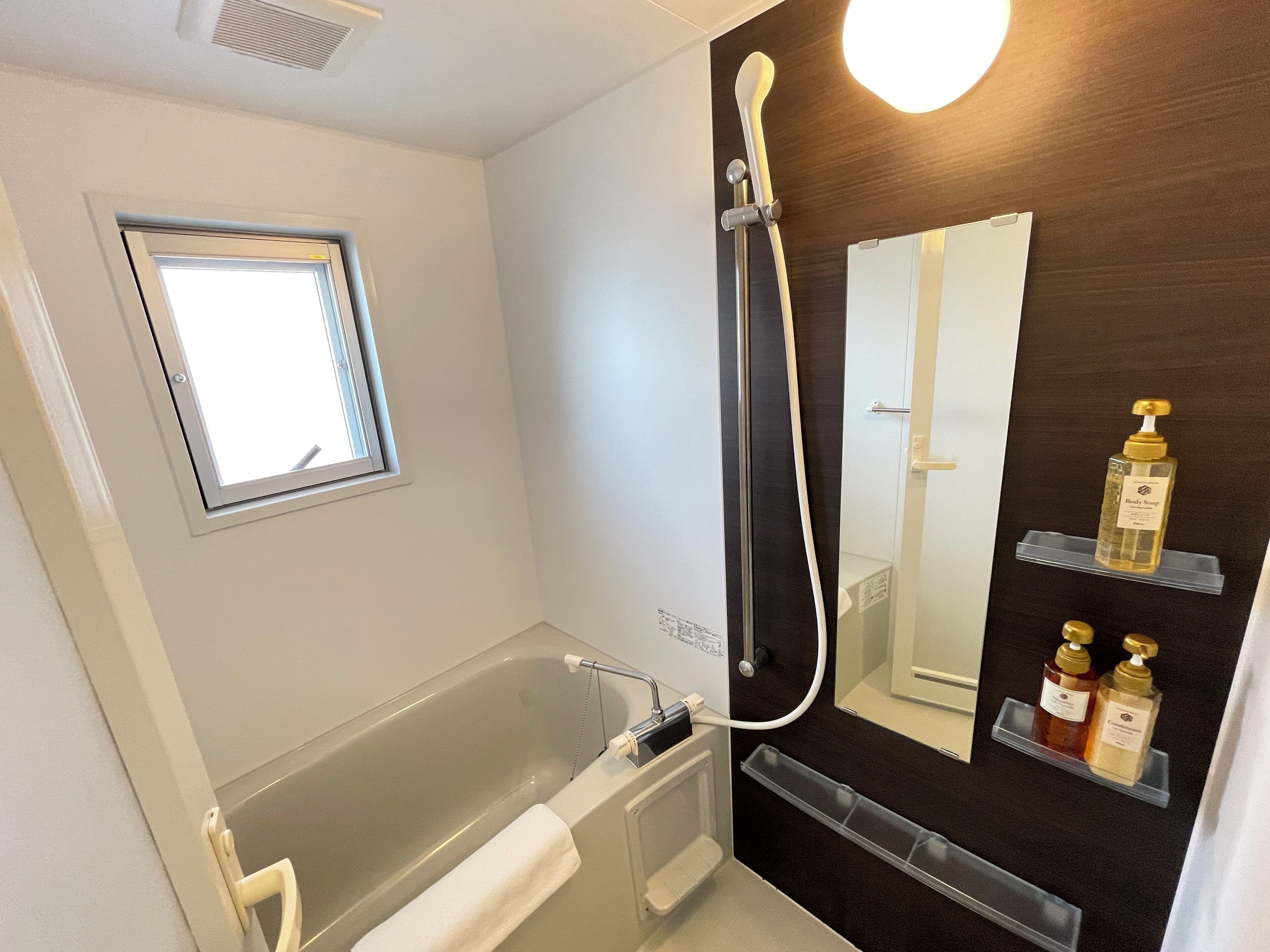 Combined shower/bathtub, free toiletries, hair dryer, slippers