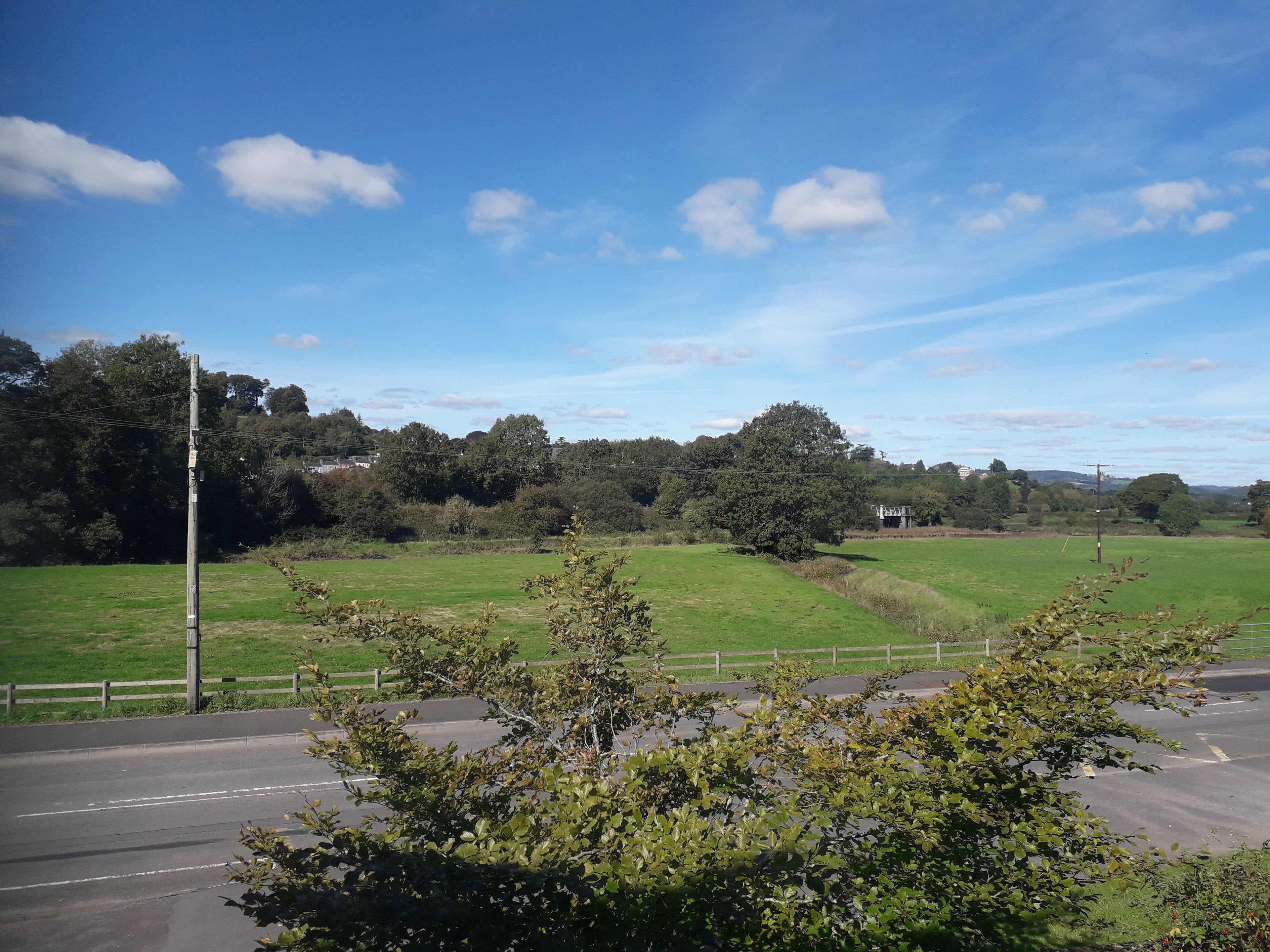 A rural landscape with a road, grassy fields, and trees.