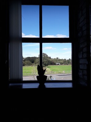 โต๊ะทำงาน, เตารีด/โต๊ะรีดผ้า