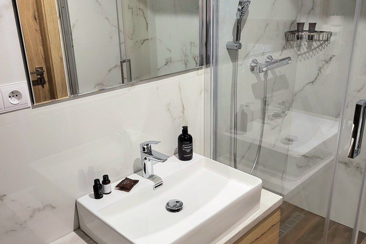 premium double or twin room | bathroom | shower, rainfall showerhead, free toiletries, hair dryer