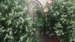 En have med hvide blomster og et metalhegn.