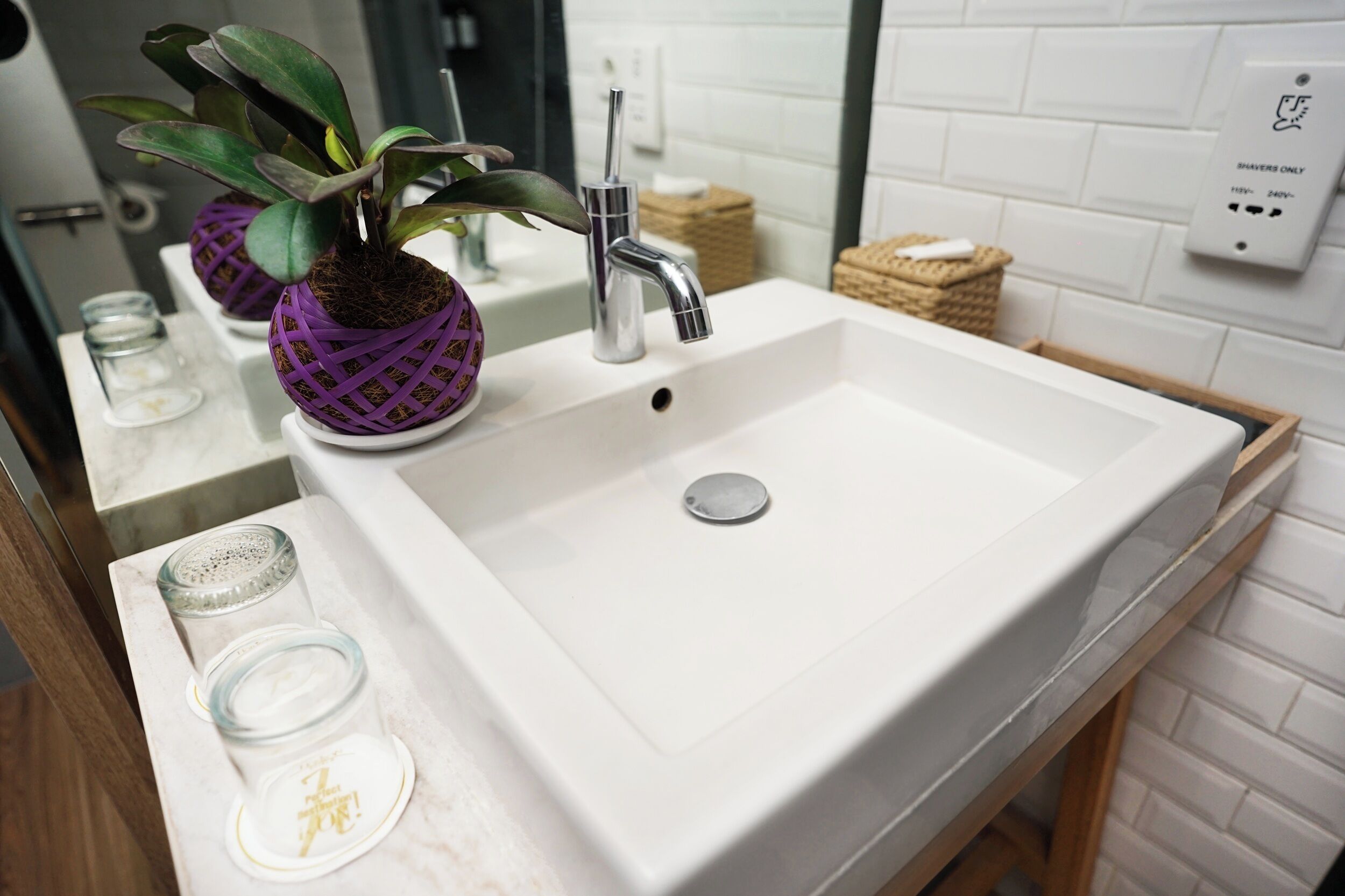 A bathroom with a white sink, a modern faucet, and a potted plant.