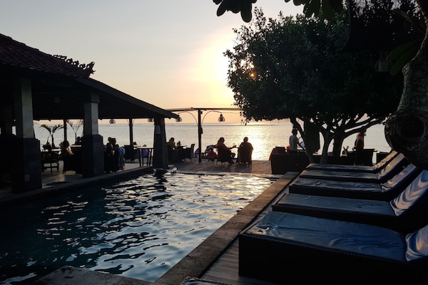 Outdoor pool, sun loungers