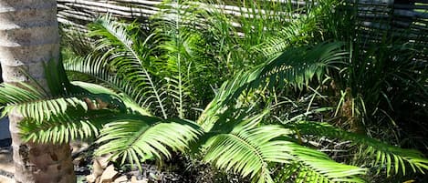 Jardín