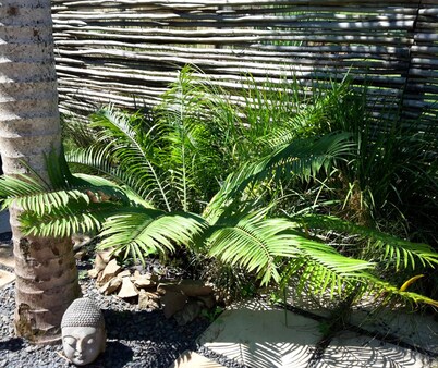 梅尔西宾客套房别墅酒店