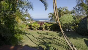 Un jardín bien cuidado con césped, palmeras y vistas al océano.