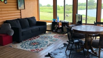 TV, fireplace, DVD player, books