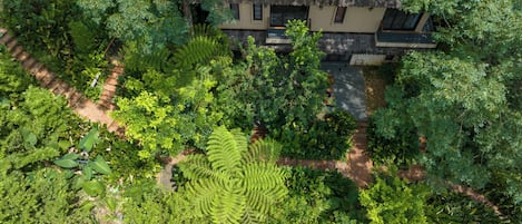 Jardín