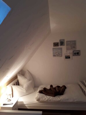Classic Twin Room | Minibar, iron/ironing board, free WiFi, bed sheets - Guest House Dommitzsch (Dommitzsch)