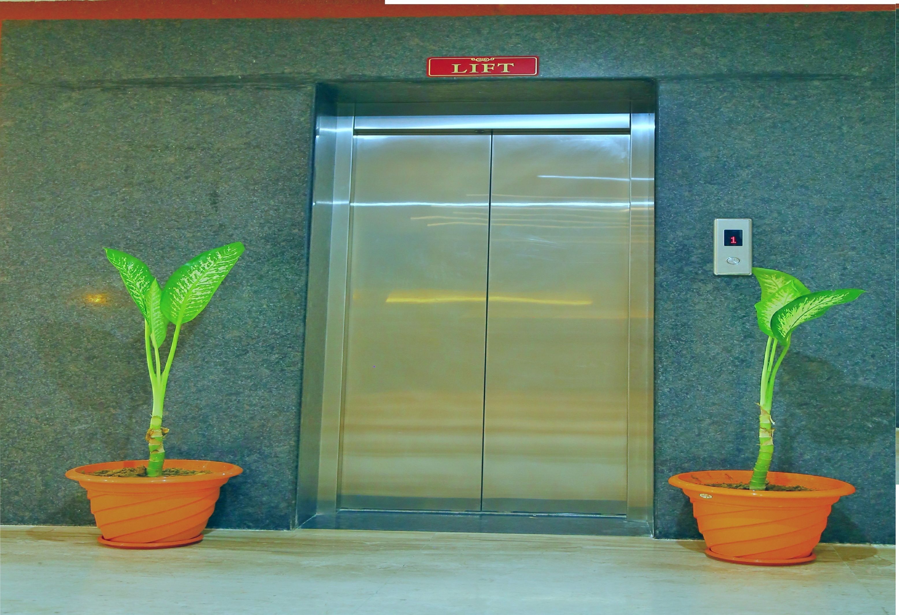 An elevator with a 'LIFT' sign above it, flanked by two potted plants.