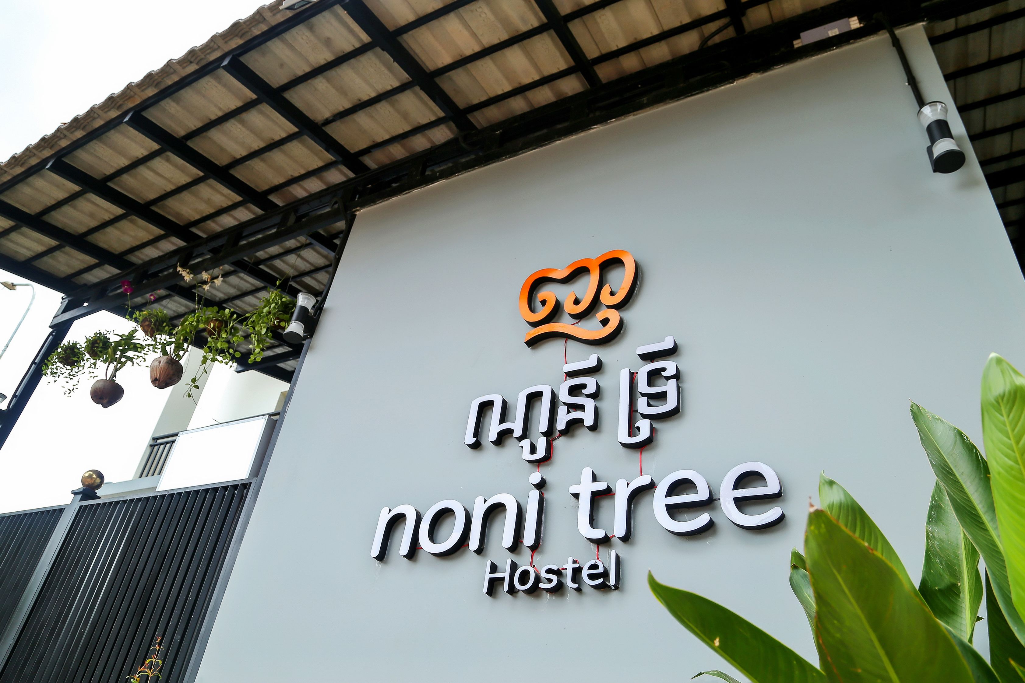 Foto - Noni Tree Hostel
