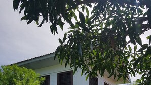 A two-story house with a white exterior, multiple windows with dark shutters, and a well-maintained garden with various plants and a lawn. - Wonderfarm Villa (Calatagan)
