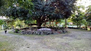A sign with the text "TUDY PO KAYO" in front of a large tree, surrounded by rocks and grass. - Wonderfarm Villa (Calatagan)