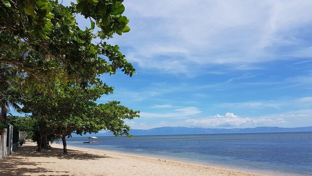 A sandy beach with trees and a clear view of the water. - Anciano Beach House (Calatagan)