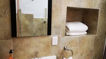 Ducha, secador de pelo y toallas