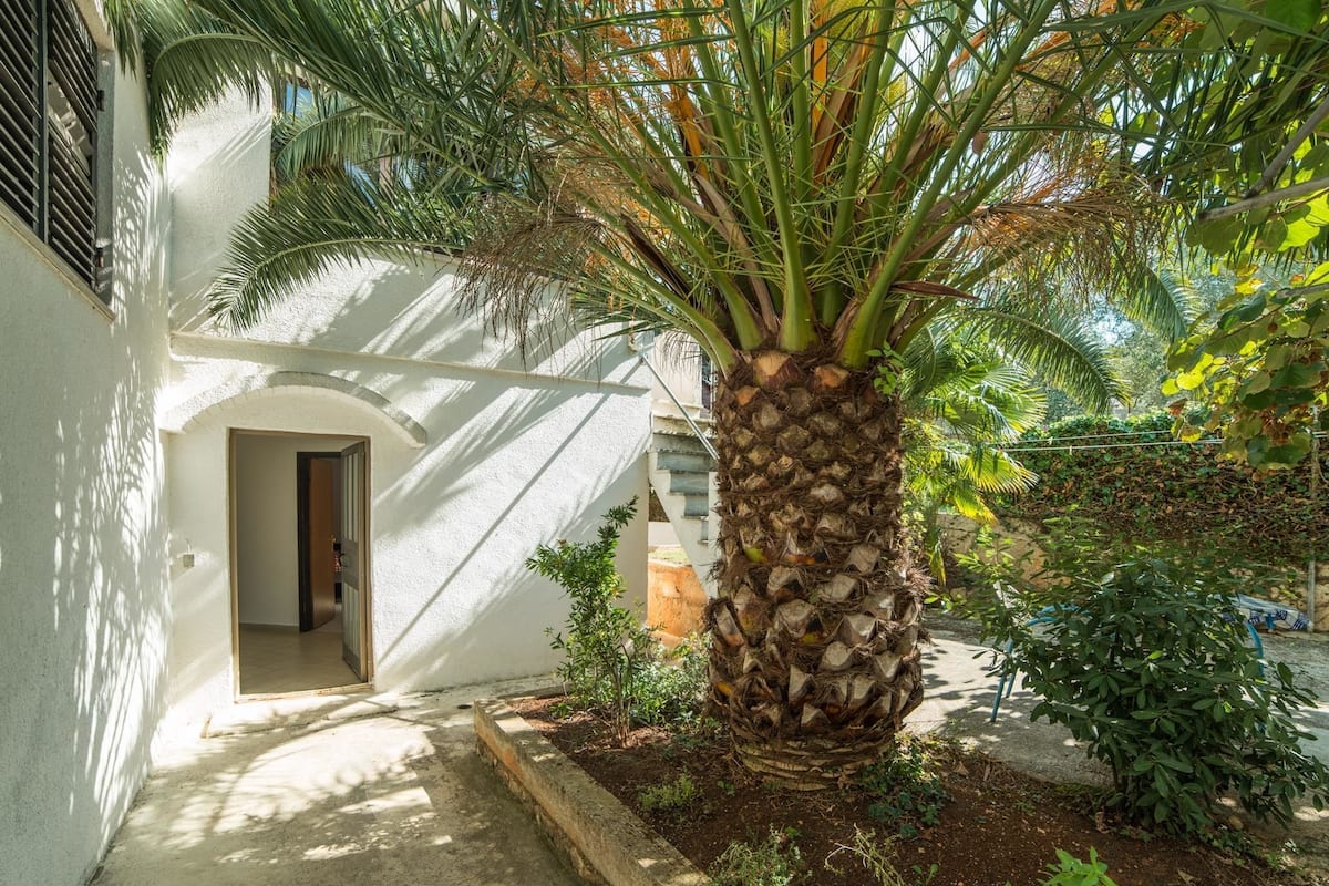 Apartment, Multiple Beds | Property grounds