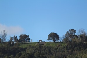 Nicht klassifiziertes Bild, 3 von 20, Schaltfläche