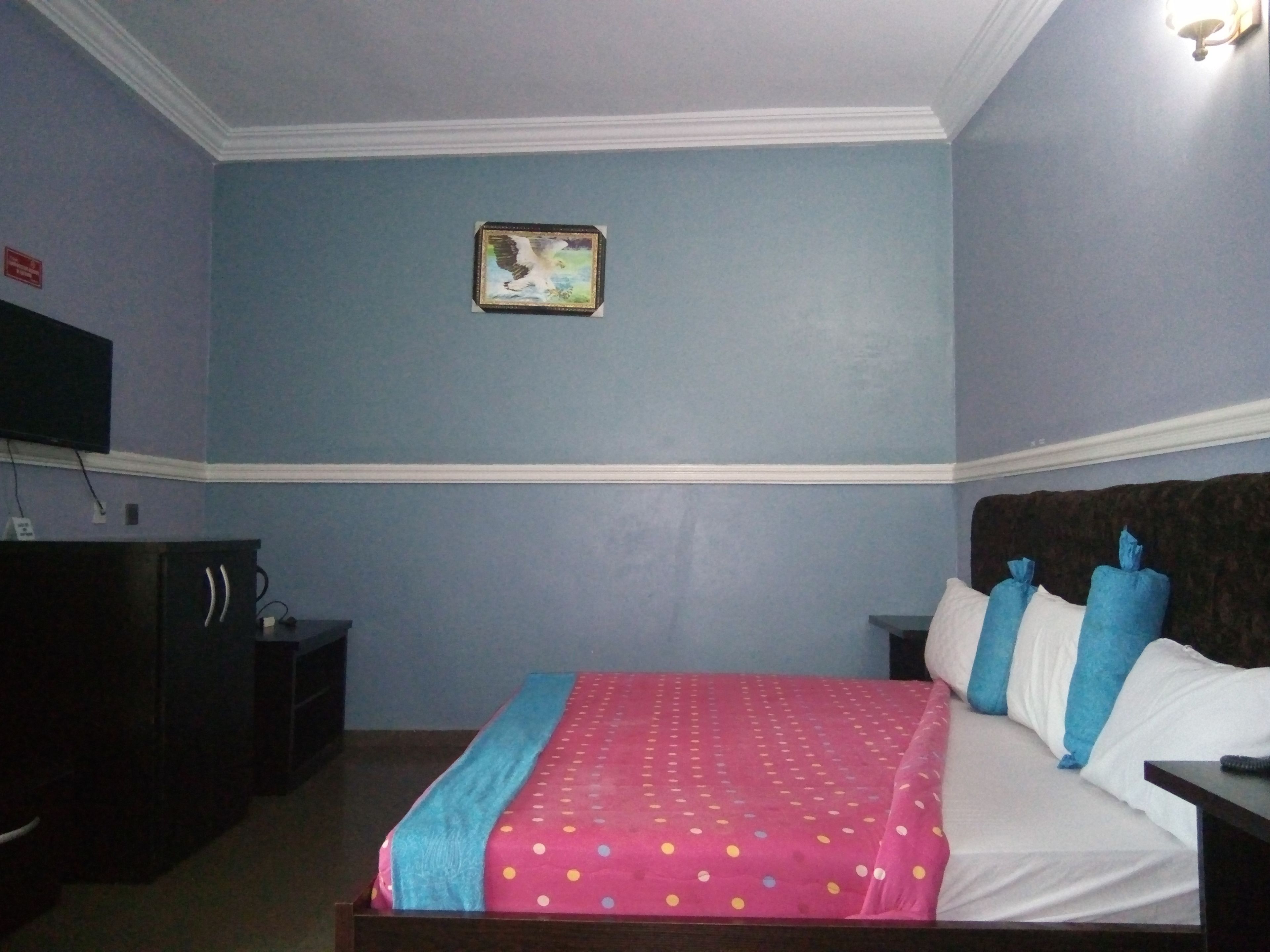 A bedroom with a bed, a nightstand, a dresser, a television, and a framed picture on the wall.