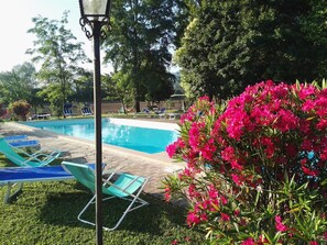 Piscine extérieure (ouverte en saison)