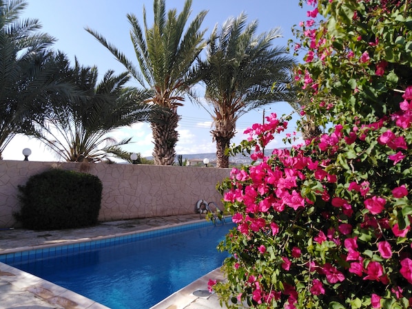 Udendørs pool