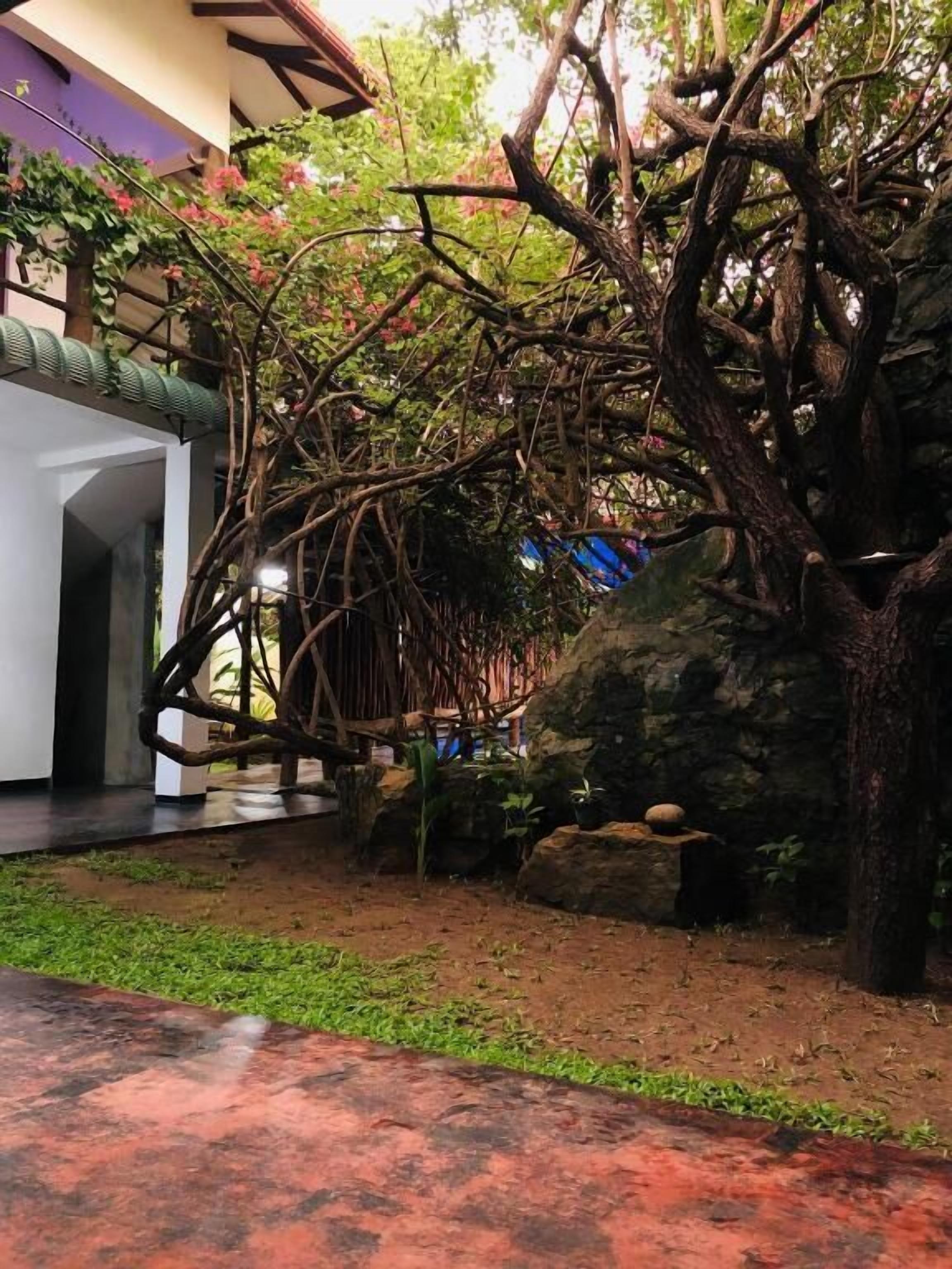 An indoor garden with a variety of plants and trees, a stone pathway, and a small pond.