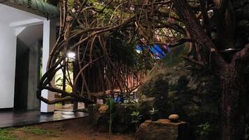 An indoor garden with a variety of plants and trees, a stone pathway, and a small pond.