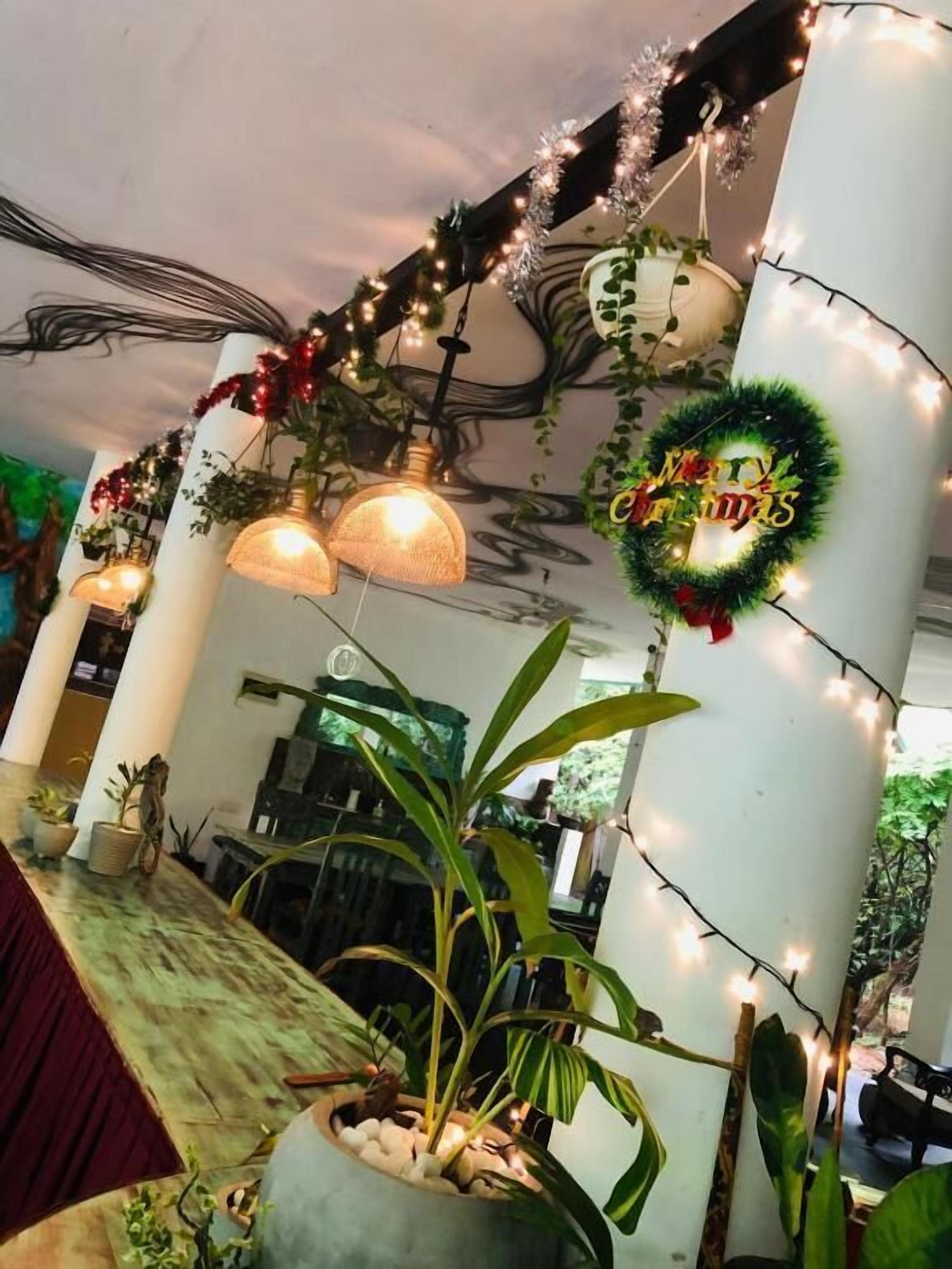 供应早餐、午餐和晚餐，亚洲菜