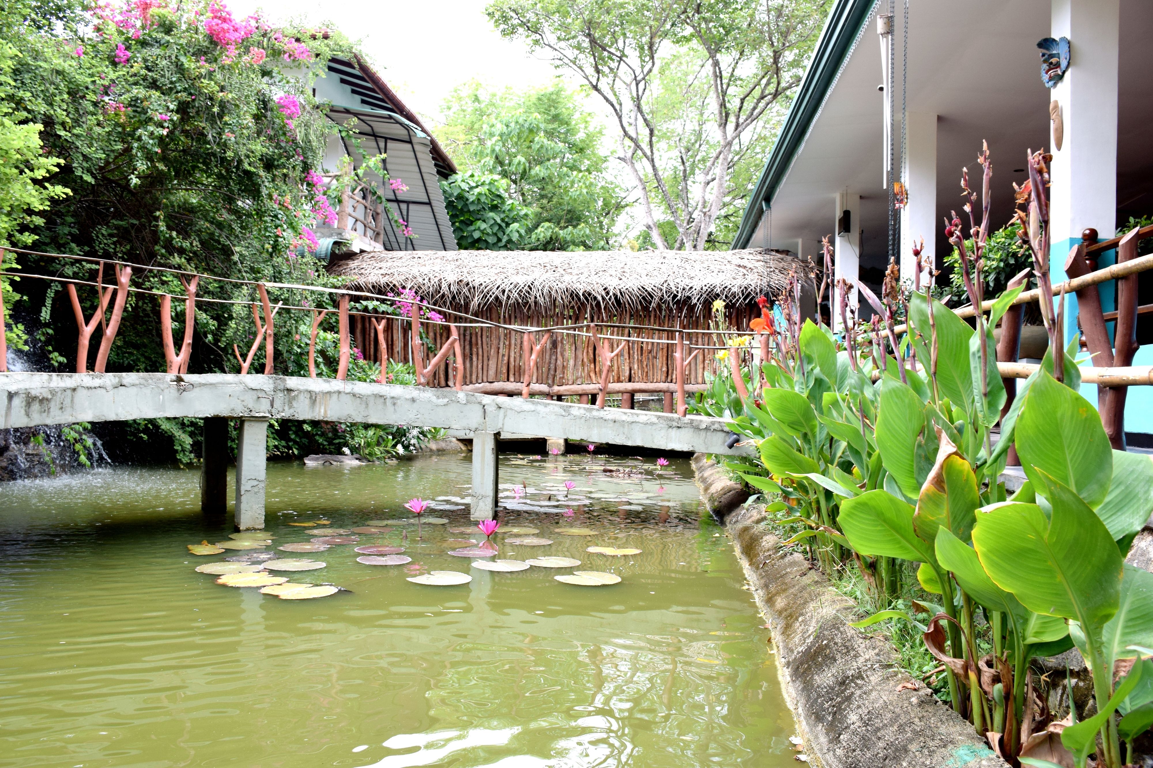 A bridge over a pond with lily pads and a thatched-roof structure.