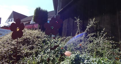 Reiter- und Ferienhof Redder