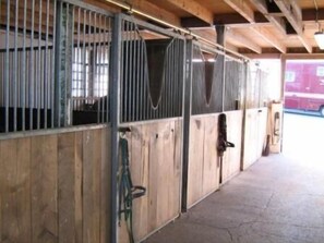 Unclassified image, 4 of 47, button - Reiter- und Ferienhof Redder (Bad Driburg)