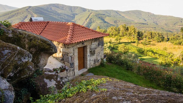 House, 1 Bedroom (Casa do Penedo) | Terrace/patio - Quinta Da Baldieira (Mondim de Basto)
