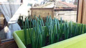 Doppelzimmer, eigenes Bad (External) | Balkon