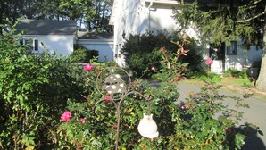 A residential area with a white house, a garden with pink flowers, and a metal sculpture. - Buck's Homestead B&B (Montgomery)