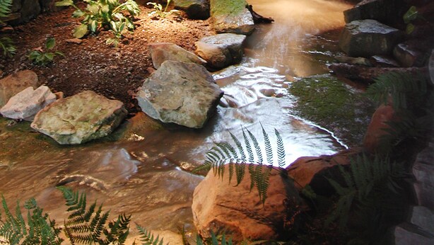 A stone-walled indoor waterfall with a small stream, surrounded by rocks and ferns. - Garden Inn Bed & Breakfast at Bee Rock (Monterey)