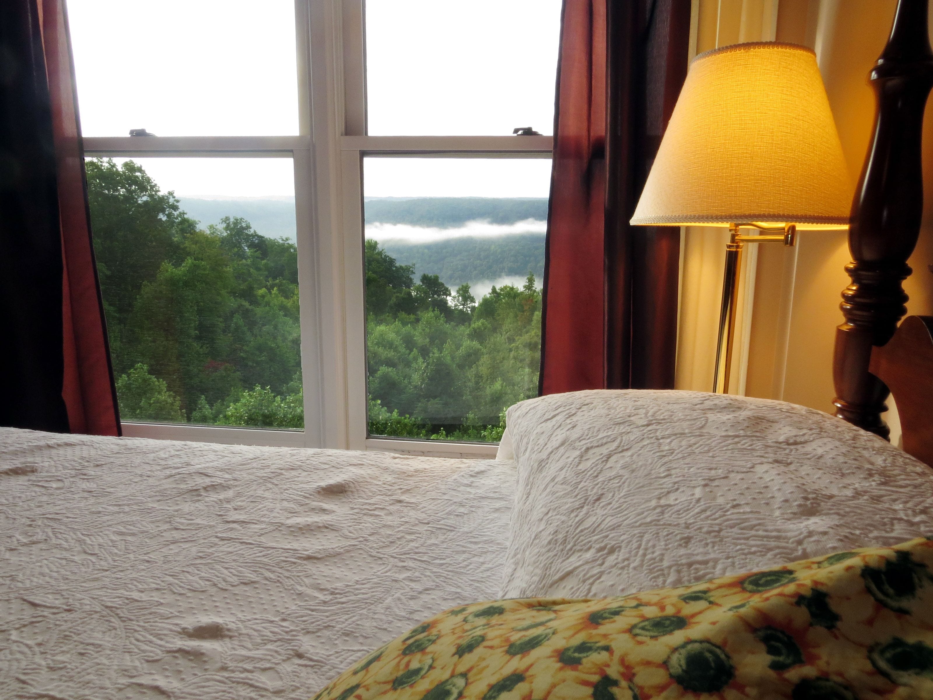 Deluxe Room, 1 Queen Bed, Non Smoking | View from room