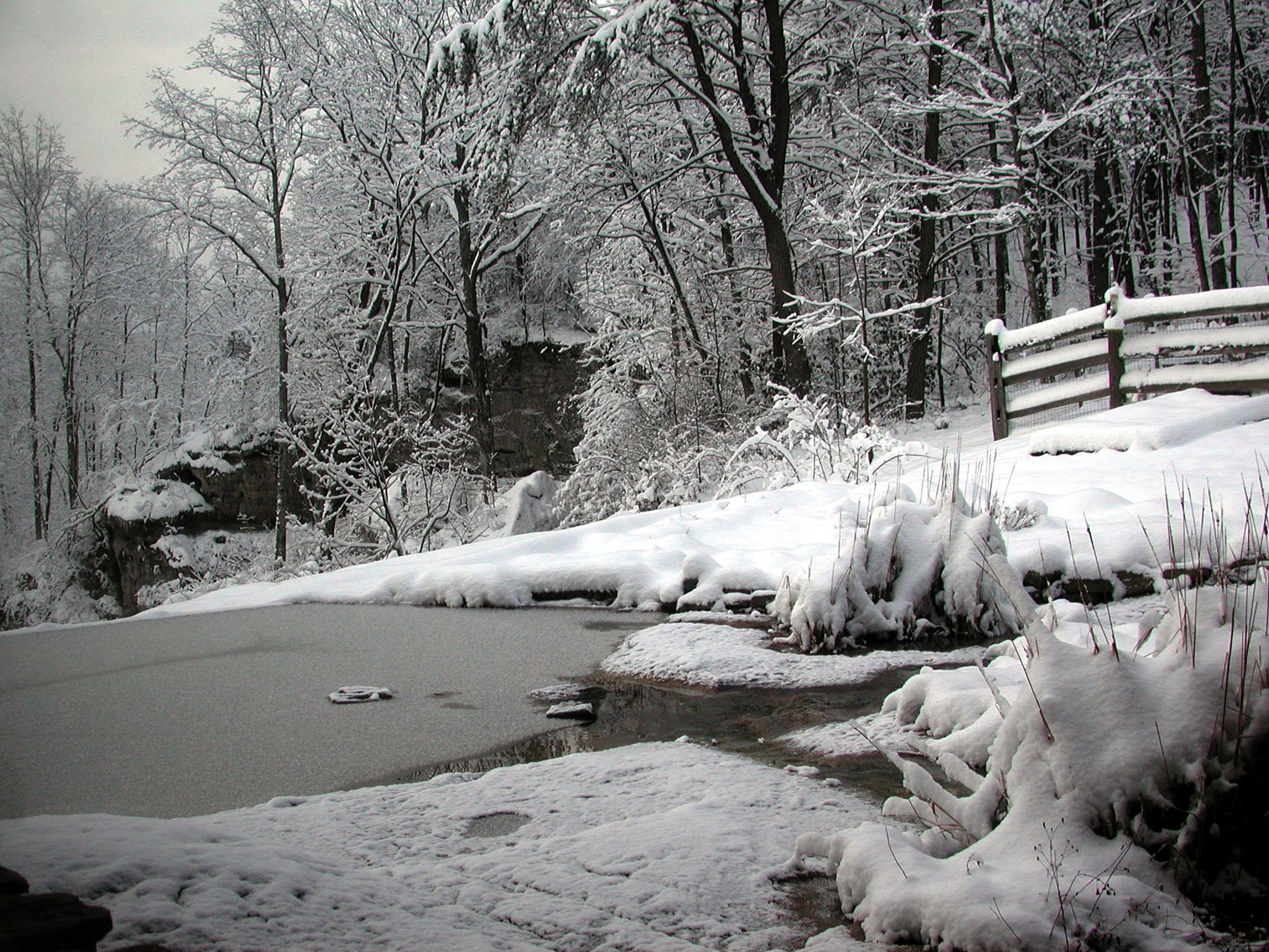 Een park bedekt met sneeuw, met een bevroren vijver, bomen en een houten hek.